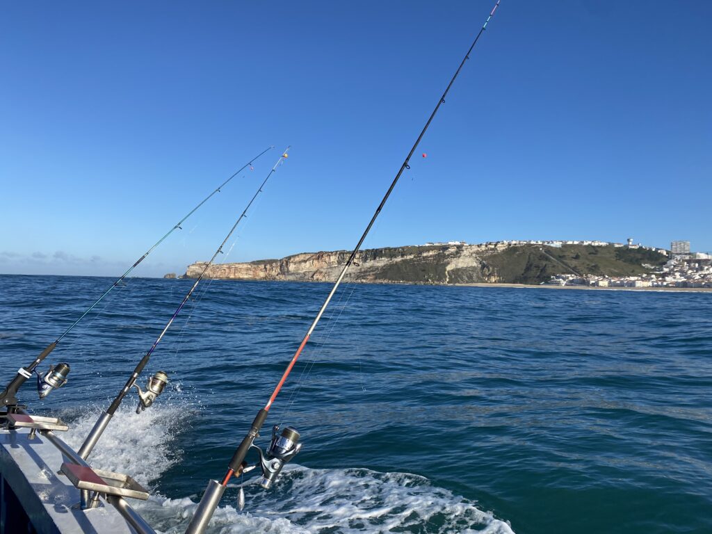 Fiske från båt utanför Nazaré