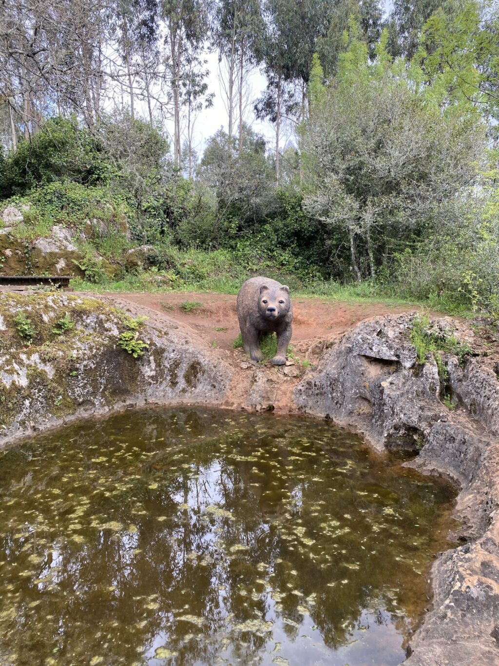 Ecoparque Sensorial Pia do Urso